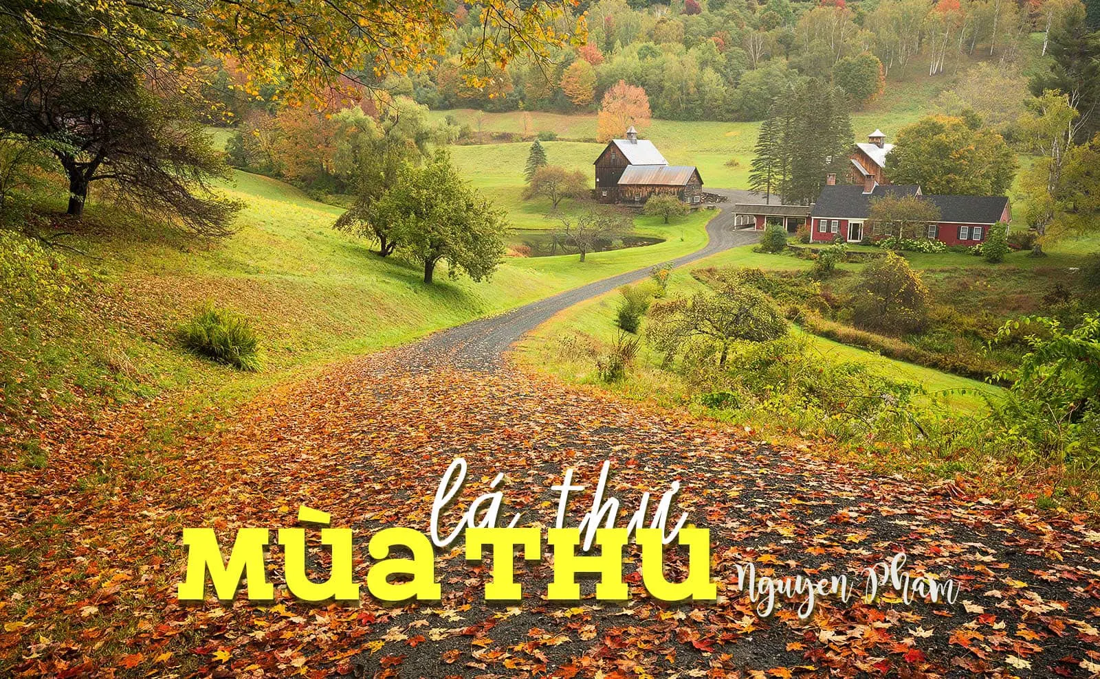 Lá thư mùa Thu! - Image 1